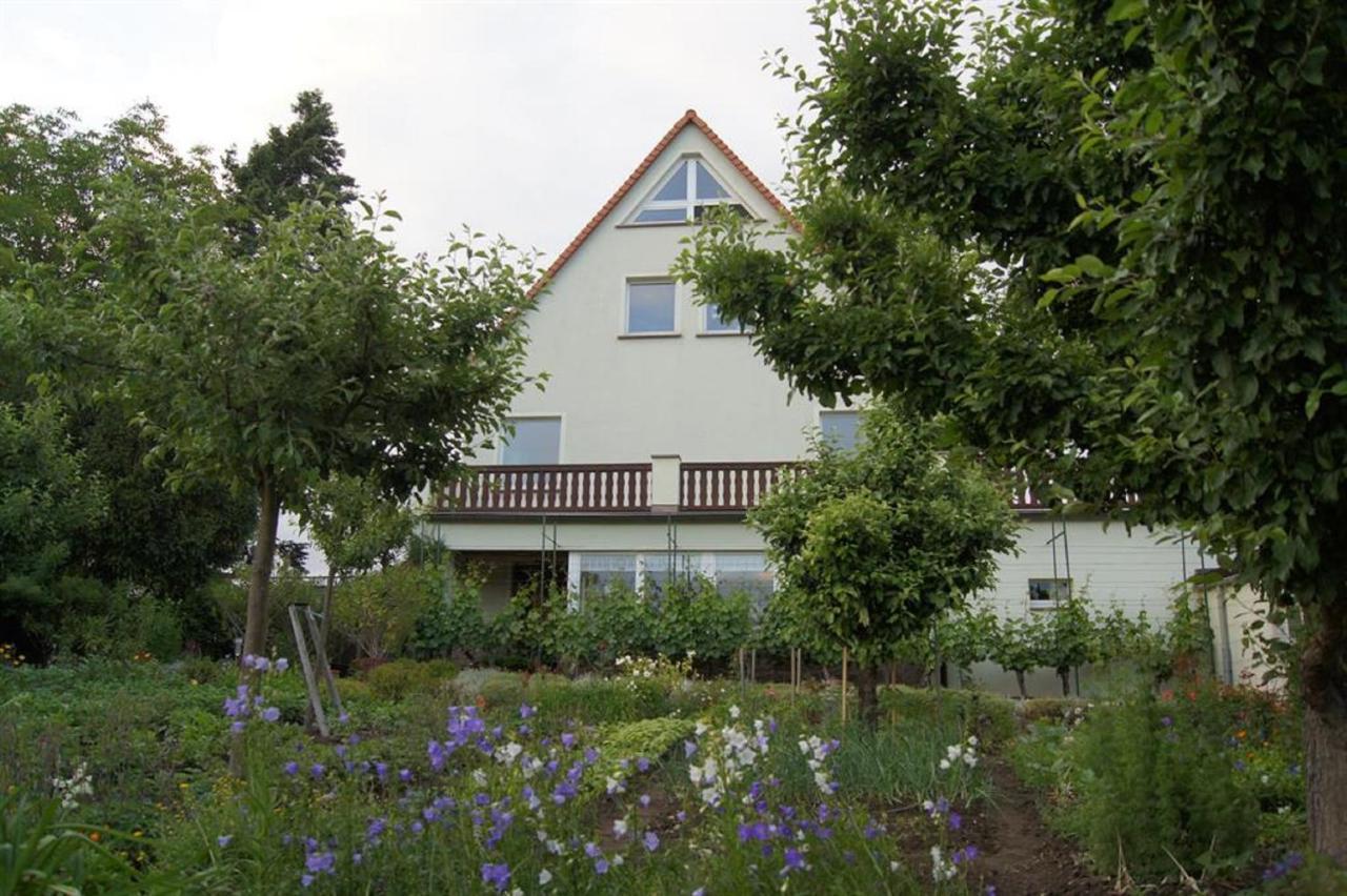 Pension Elbblick Sabine Zuschke Meissen Exterior foto