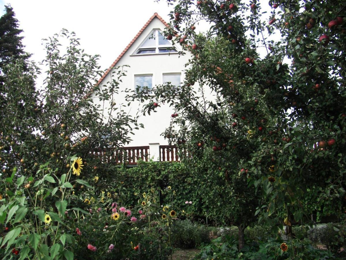 Pension Elbblick Sabine Zuschke Meissen Exterior foto